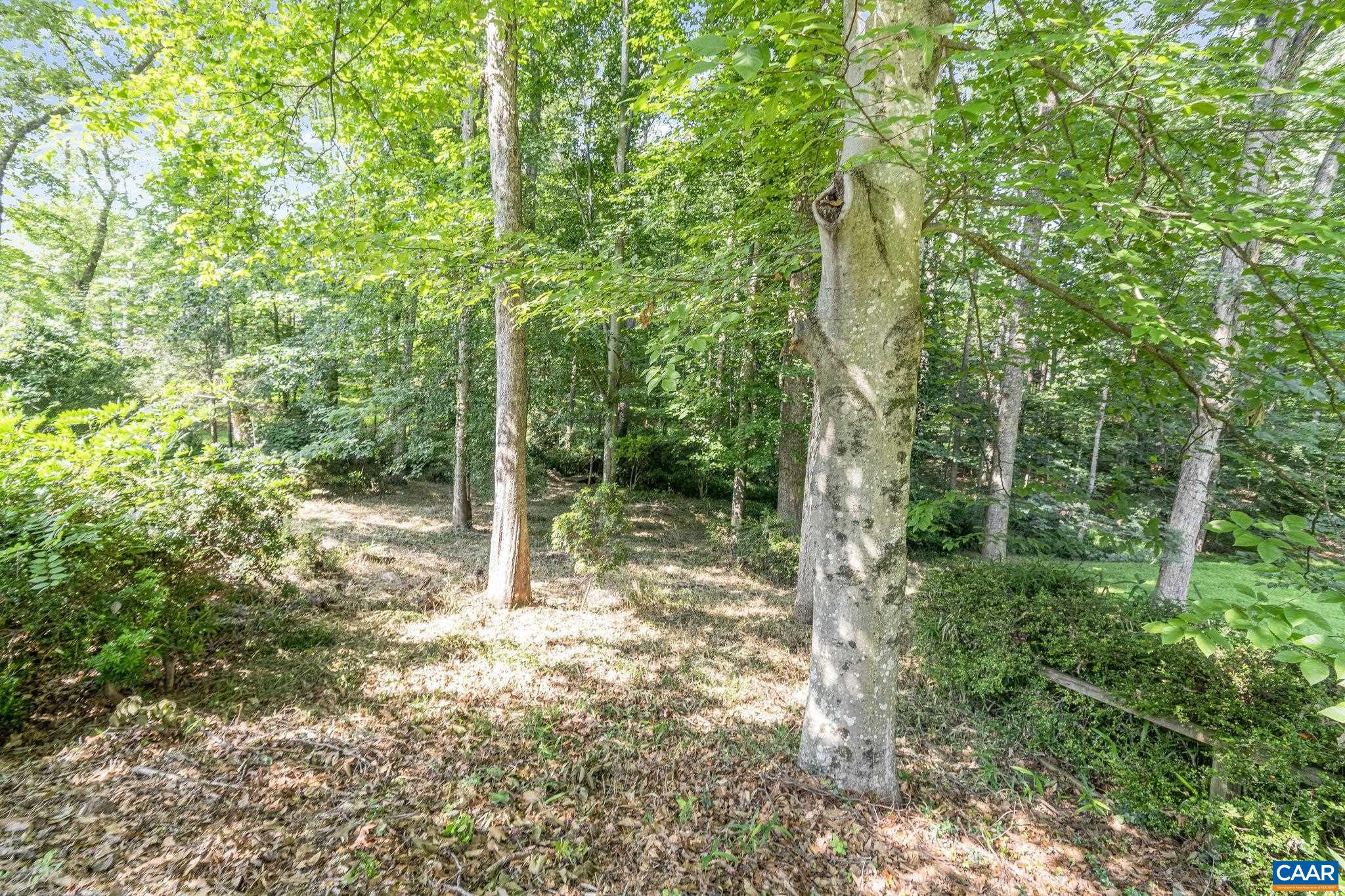 411 WESTMORELAND CT, CHARLOTTESVILLE, Virginia 22901, 4 Bedrooms Bedrooms, ,3 BathroomsBathrooms,Residential,411 WESTMORELAND CT,666696 MLS # 666696