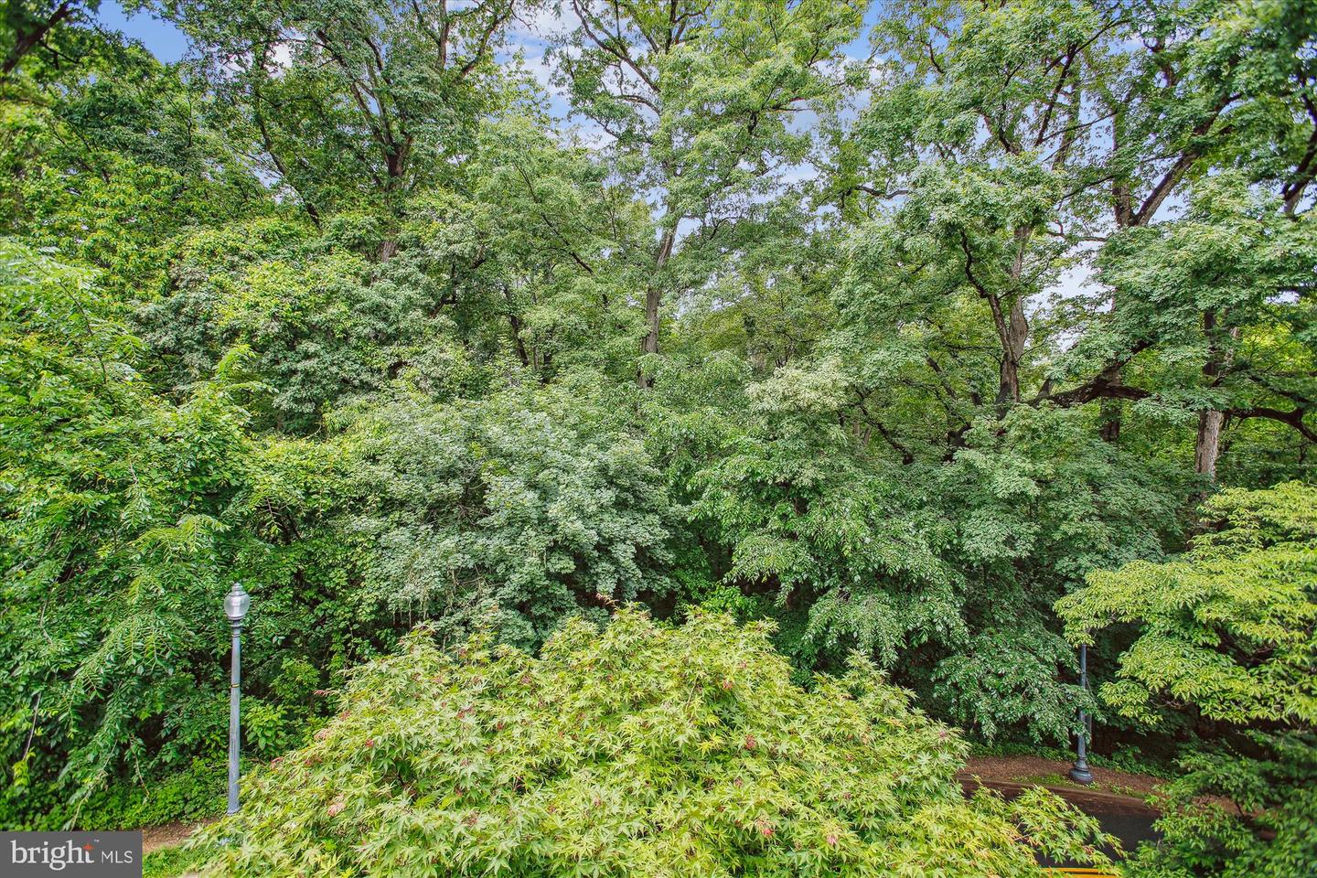 3505 17TH ST NW #4, WASHINGTON, District Of Columbia 20010, 1 Bedroom Bedrooms, ,1 BathroomBathrooms,Residential,For sale,3505 17TH ST NW #4,DCDC2202402 MLS # DCDC2202402