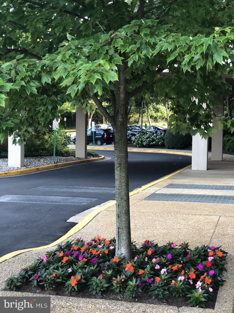 1800 OLD MEADOW RD #609, MCLEAN, Virginia 22102, 1 Bedroom Bedrooms, ,1 BathroomBathrooms,Residential,For sale,1800 OLD MEADOW RD #609,VAFX2253036 MLS # VAFX2253036