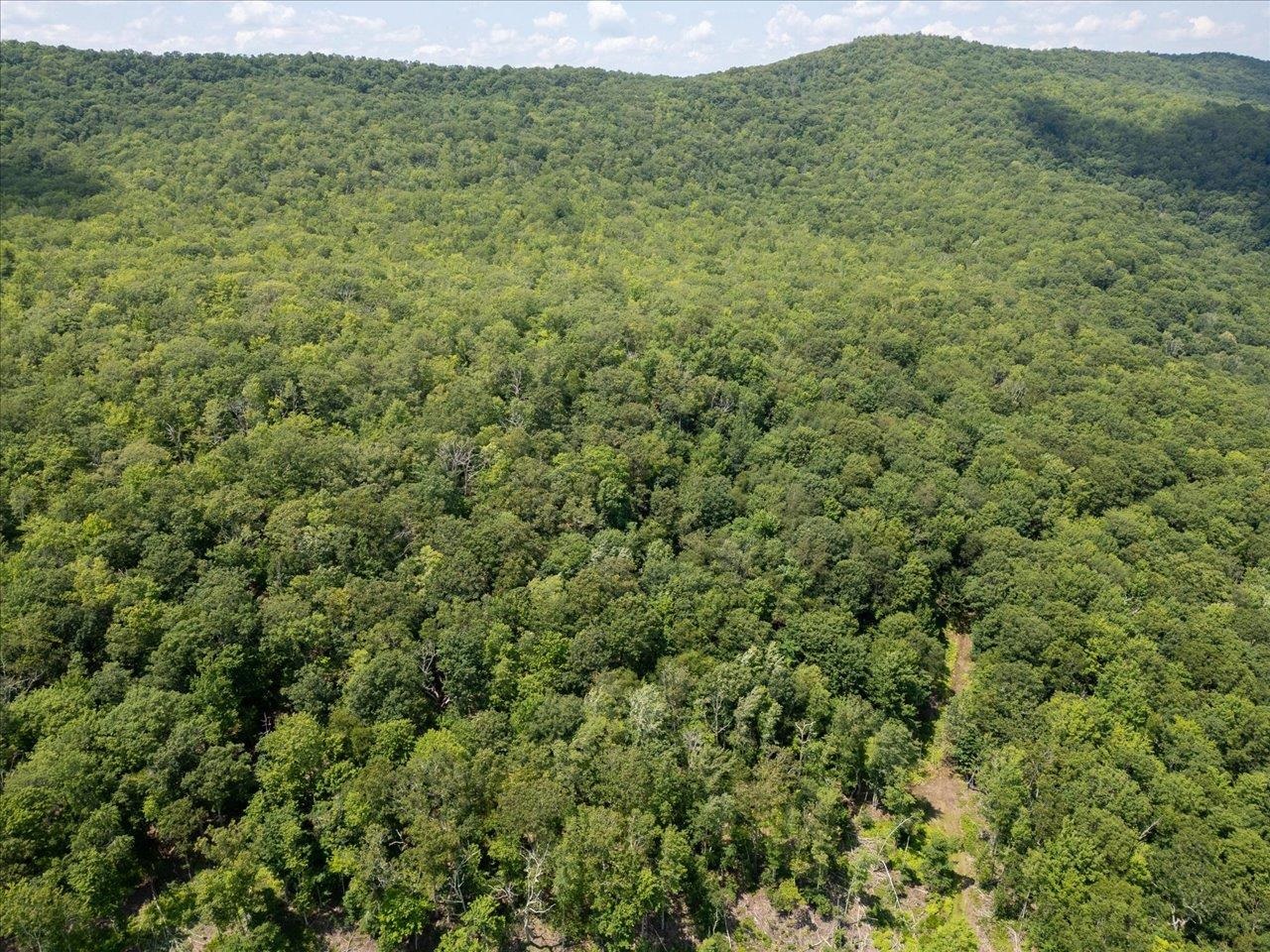 TBD HALTERMAN HOLLOW LN, MONTEREY, Virginia 24465, ,Farm,TBD HALTERMAN HOLLOW LN,666756 MLS # 666756