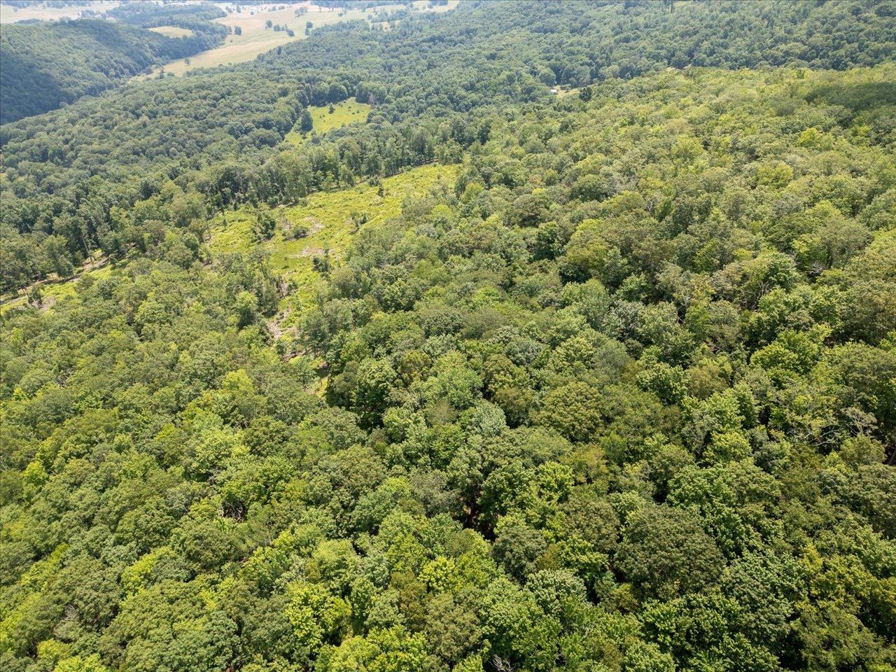 TBD HALTERMAN HOLLOW LN, MONTEREY, Virginia 24465, ,Farm,TBD HALTERMAN HOLLOW LN,666756 MLS # 666756