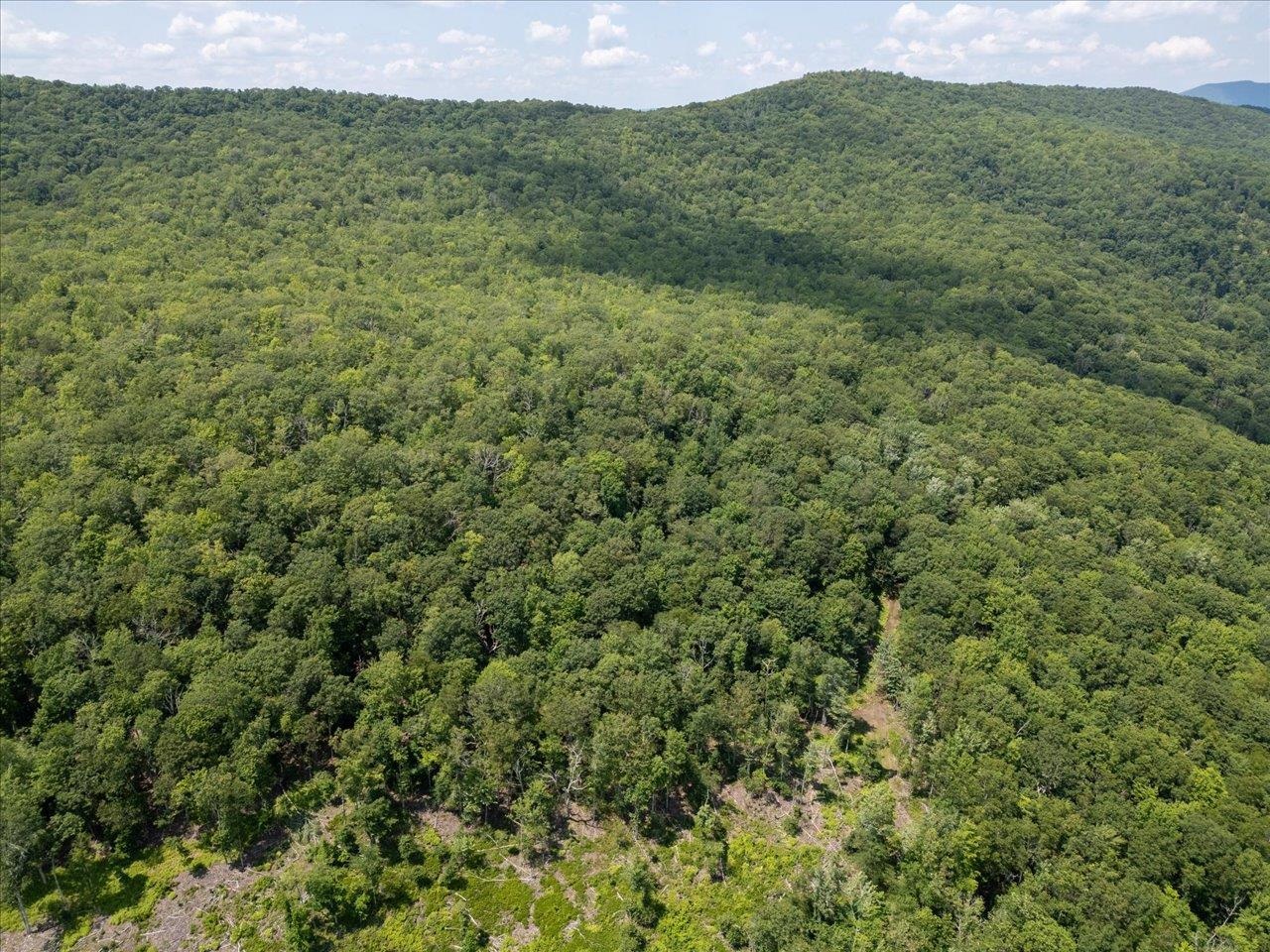 TBD HALTERMAN HOLLOW LN, MONTEREY, Virginia 24465, ,Farm,TBD HALTERMAN HOLLOW LN,666756 MLS # 666756
