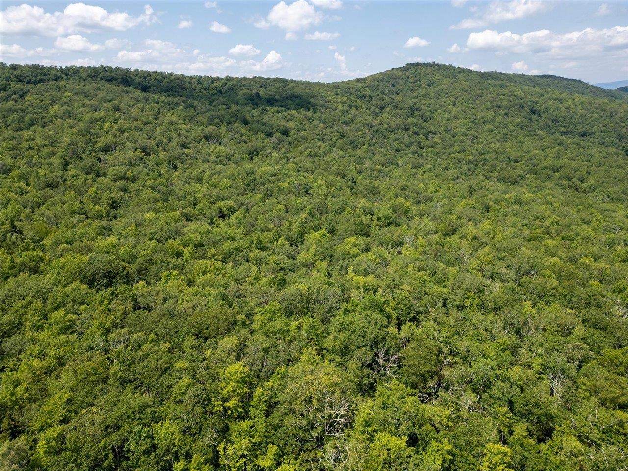TBD HALTERMAN HOLLOW LN, MONTEREY, Virginia 24465, ,Farm,TBD HALTERMAN HOLLOW LN,666756 MLS # 666756