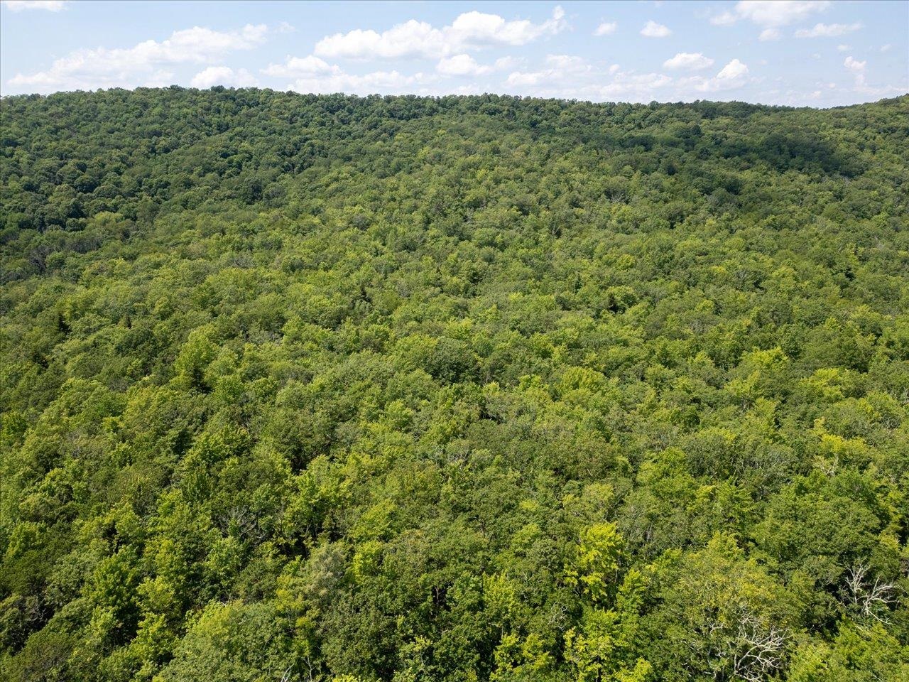 TBD HALTERMAN HOLLOW LN, MONTEREY, Virginia 24465, ,Farm,TBD HALTERMAN HOLLOW LN,666756 MLS # 666756