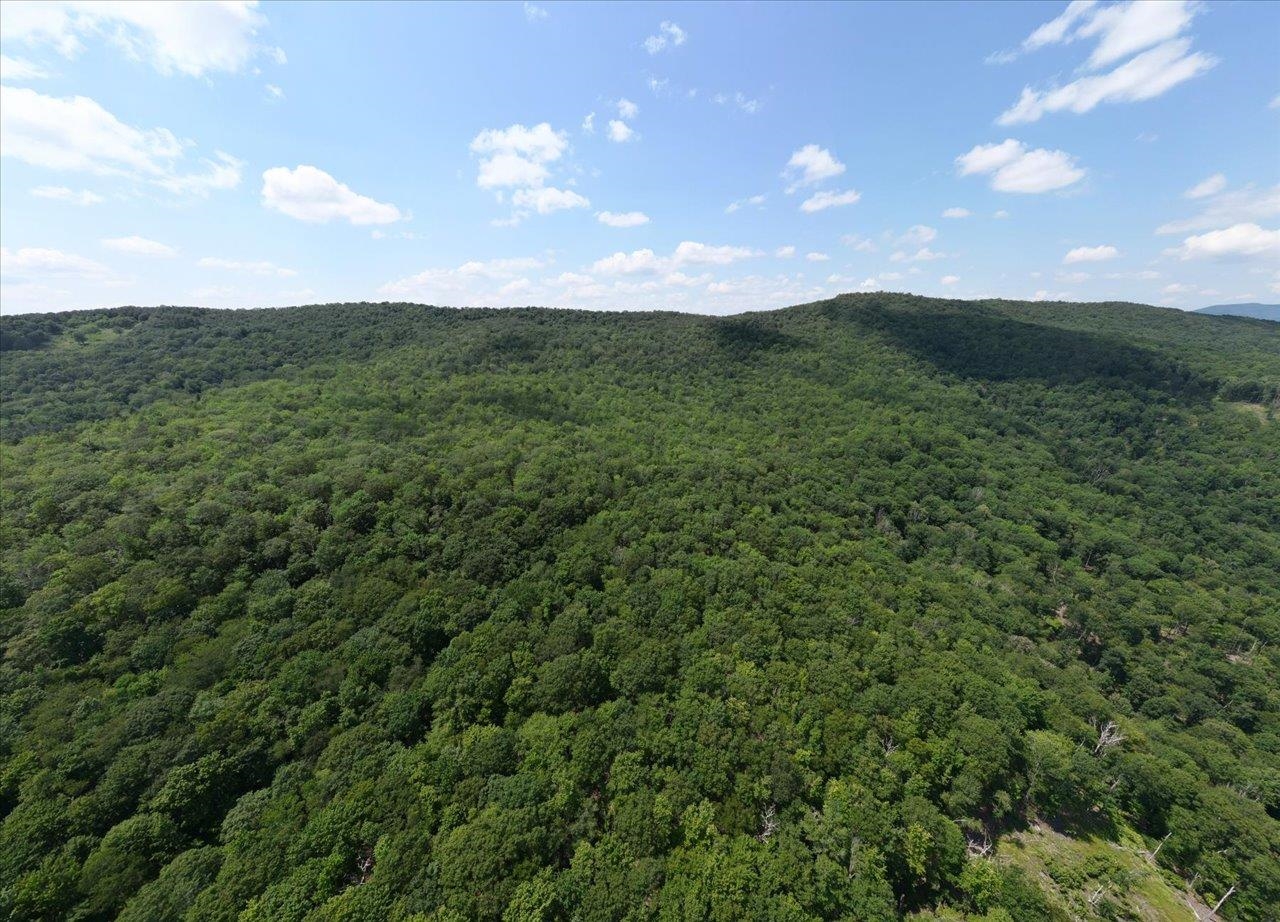 TBD HALTERMAN HOLLOW LN, MONTEREY, Virginia 24465, ,Farm,TBD HALTERMAN HOLLOW LN,666756 MLS # 666756