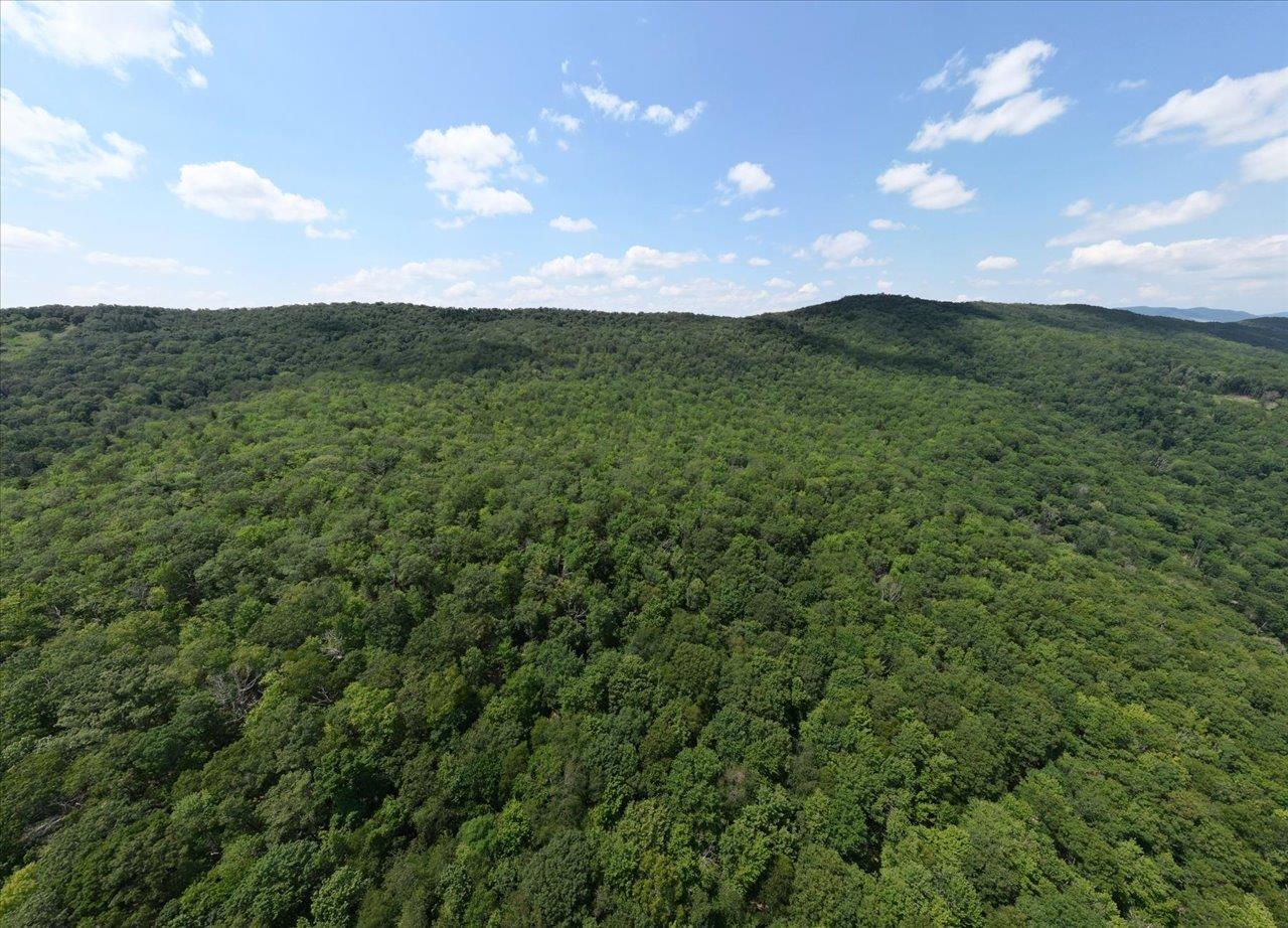 TBD HALTERMAN HOLLOW LN, MONTEREY, Virginia 24465, ,Farm,TBD HALTERMAN HOLLOW LN,666756 MLS # 666756