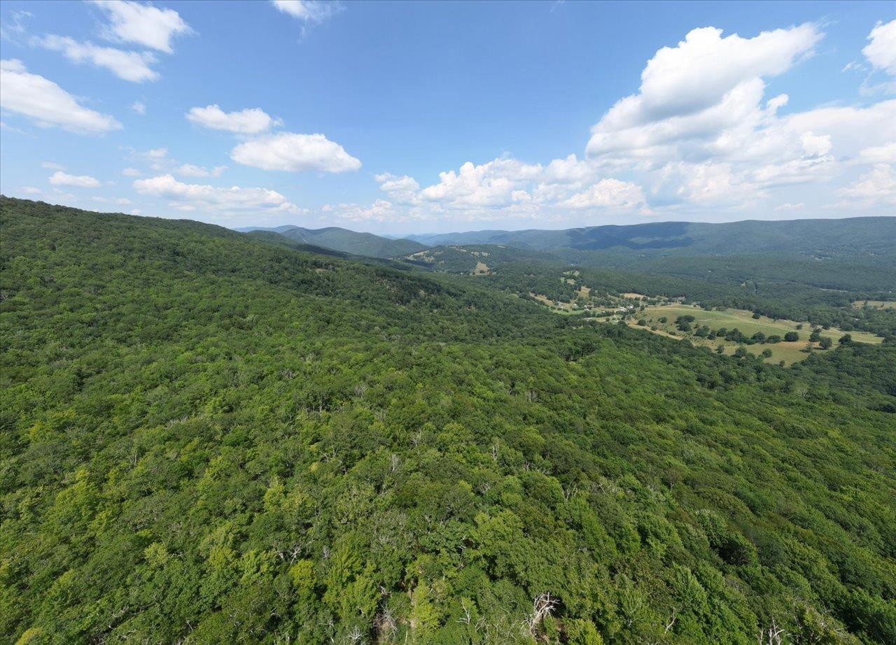 TBD HALTERMAN HOLLOW LN, MONTEREY, Virginia 24465, ,Farm,TBD HALTERMAN HOLLOW LN,666756 MLS # 666756