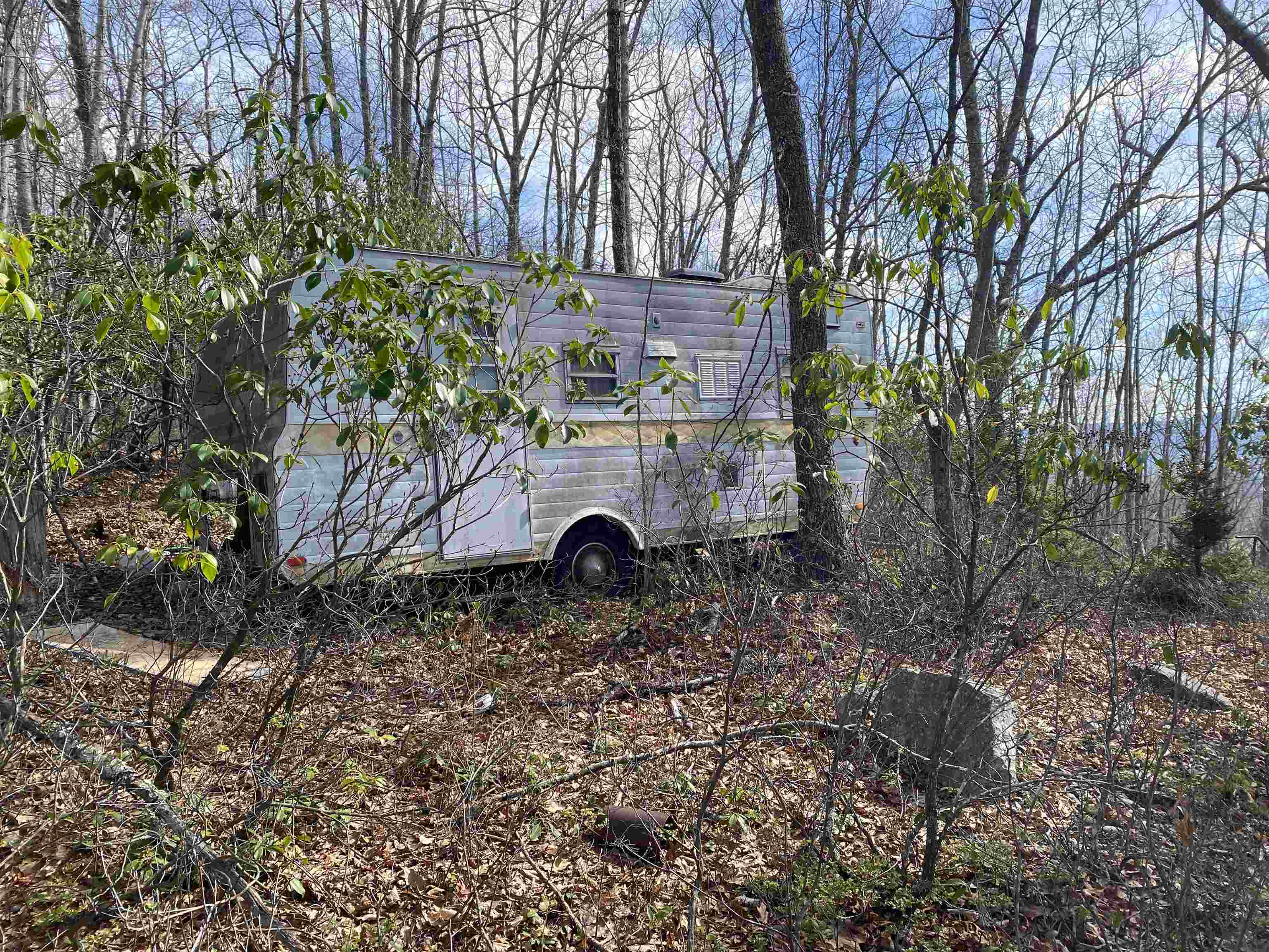 TBD HALTERMAN HOLLOW LN, MONTEREY, Virginia 24465, ,Farm,TBD HALTERMAN HOLLOW LN,666756 MLS # 666756