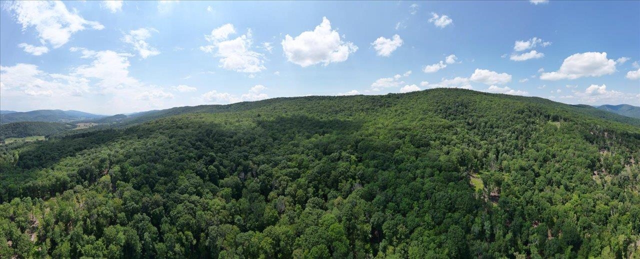 TBD HALTERMAN HOLLOW LN, MONTEREY, Virginia 24465, ,Farm,TBD HALTERMAN HOLLOW LN,666756 MLS # 666756