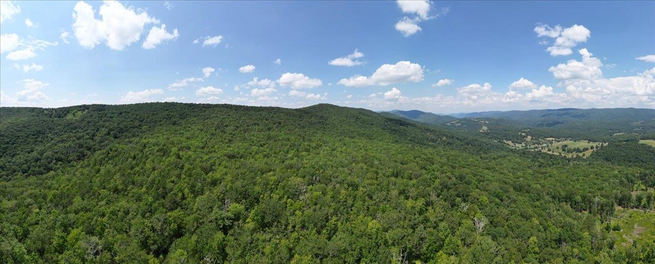 TBD HALTERMAN HOLLOW LN, MONTEREY, Virginia 24465, ,Farm,TBD HALTERMAN HOLLOW LN,666756 MLS # 666756