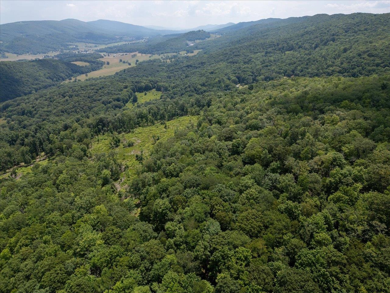 TBD HALTERMAN HOLLOW LN, MONTEREY, Virginia 24465, ,Farm,TBD HALTERMAN HOLLOW LN,666756 MLS # 666756