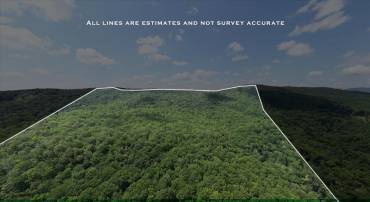 TBD HALTERMAN HOLLOW LN, MONTEREY, Virginia 24465, ,Farm,TBD HALTERMAN HOLLOW LN,666756 MLS # 666756