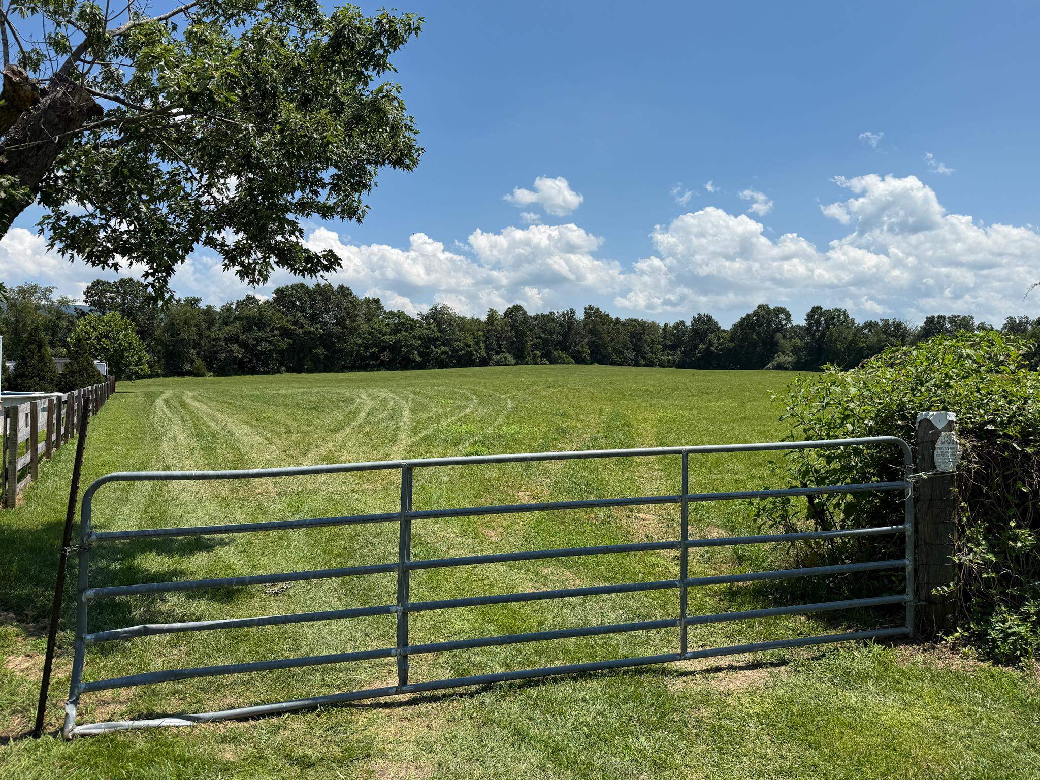 TBD SAMSONS CIR, CRIMORA, Virginia 24431, ,Land,TBD SAMSONS CIR,666767 MLS # 666767