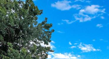 904 LIBERTY ST, FREDERICKSBURG, Virginia 22401, ,Land,For sale,904 LIBERTY ST,VAFB2008574 MLS # VAFB2008574