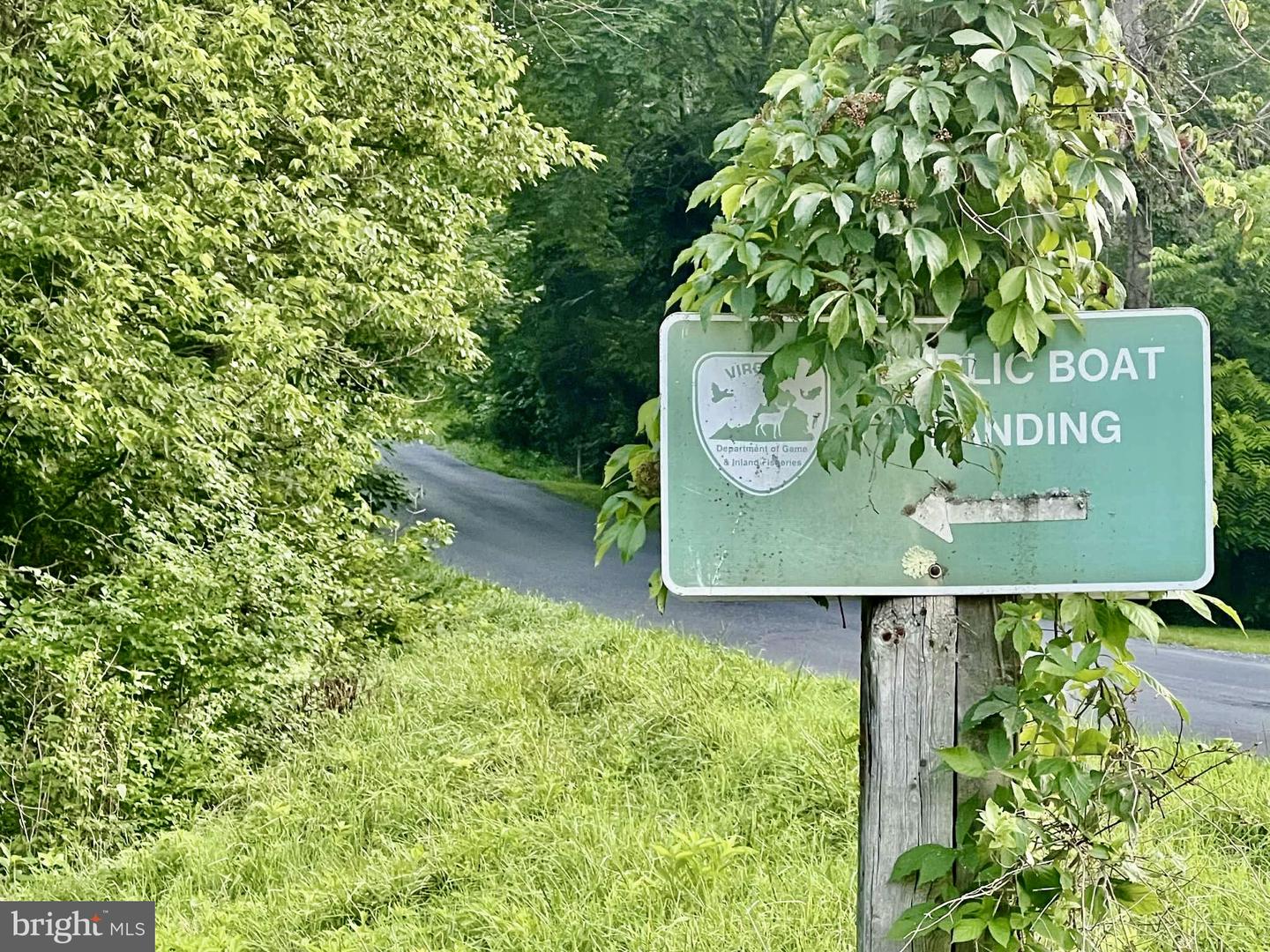 SUZANNE LANE, LURAY, Virginia 22835, ,Land,For sale,SUZANNE LANE,VAPA2005124 MLS # VAPA2005124