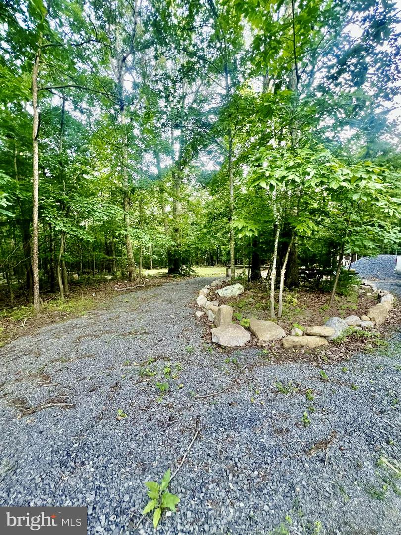 SUZANNE LANE, LURAY, Virginia 22835, ,Land,For sale,SUZANNE LANE,VAPA2005124 MLS # VAPA2005124