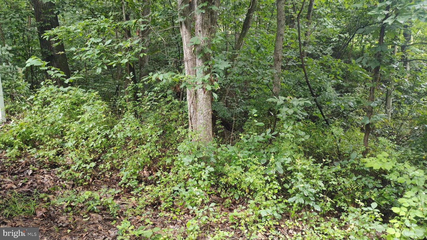 LOT 10 MAGNOLIA DR, FRONT ROYAL, Virginia 22630, ,Land,For sale,LOT 10 MAGNOLIA DR,VAWR2011688 MLS # VAWR2011688