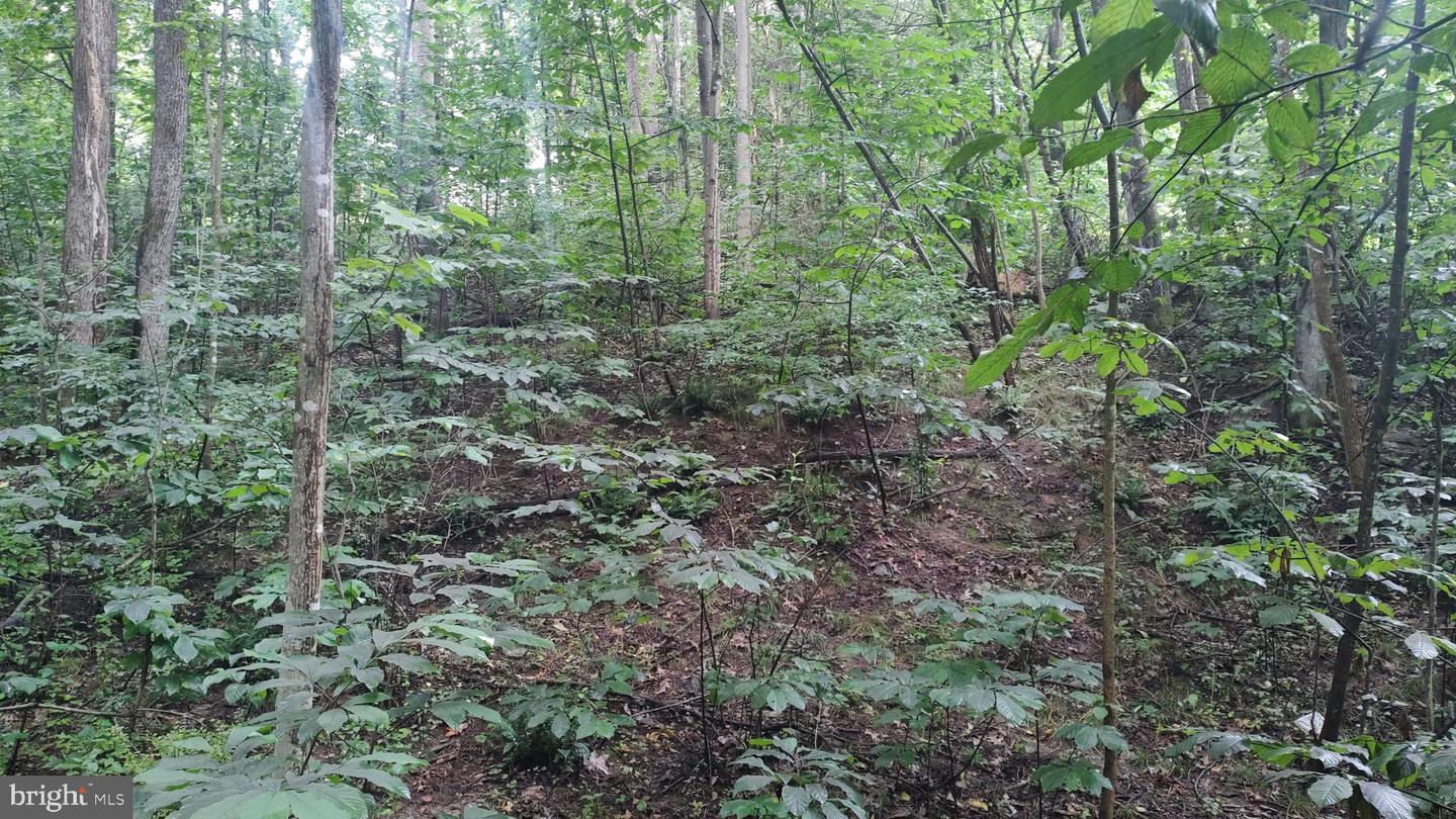 LOT 10 MAGNOLIA DR, FRONT ROYAL, Virginia 22630, ,Land,For sale,LOT 10 MAGNOLIA DR,VAWR2011688 MLS # VAWR2011688