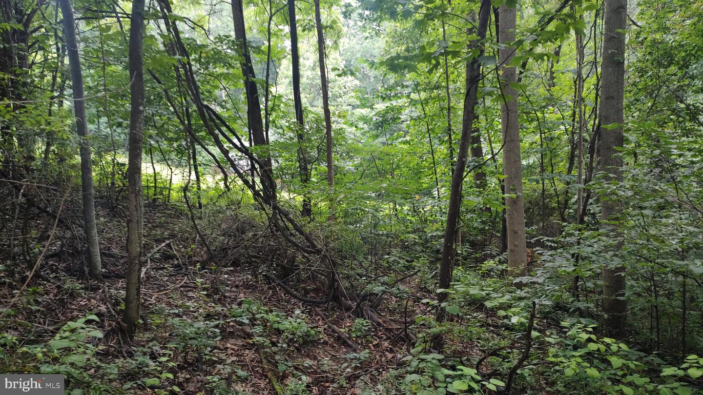 LOT 10 MAGNOLIA DR, FRONT ROYAL, Virginia 22630, ,Land,For sale,LOT 10 MAGNOLIA DR,VAWR2011688 MLS # VAWR2011688