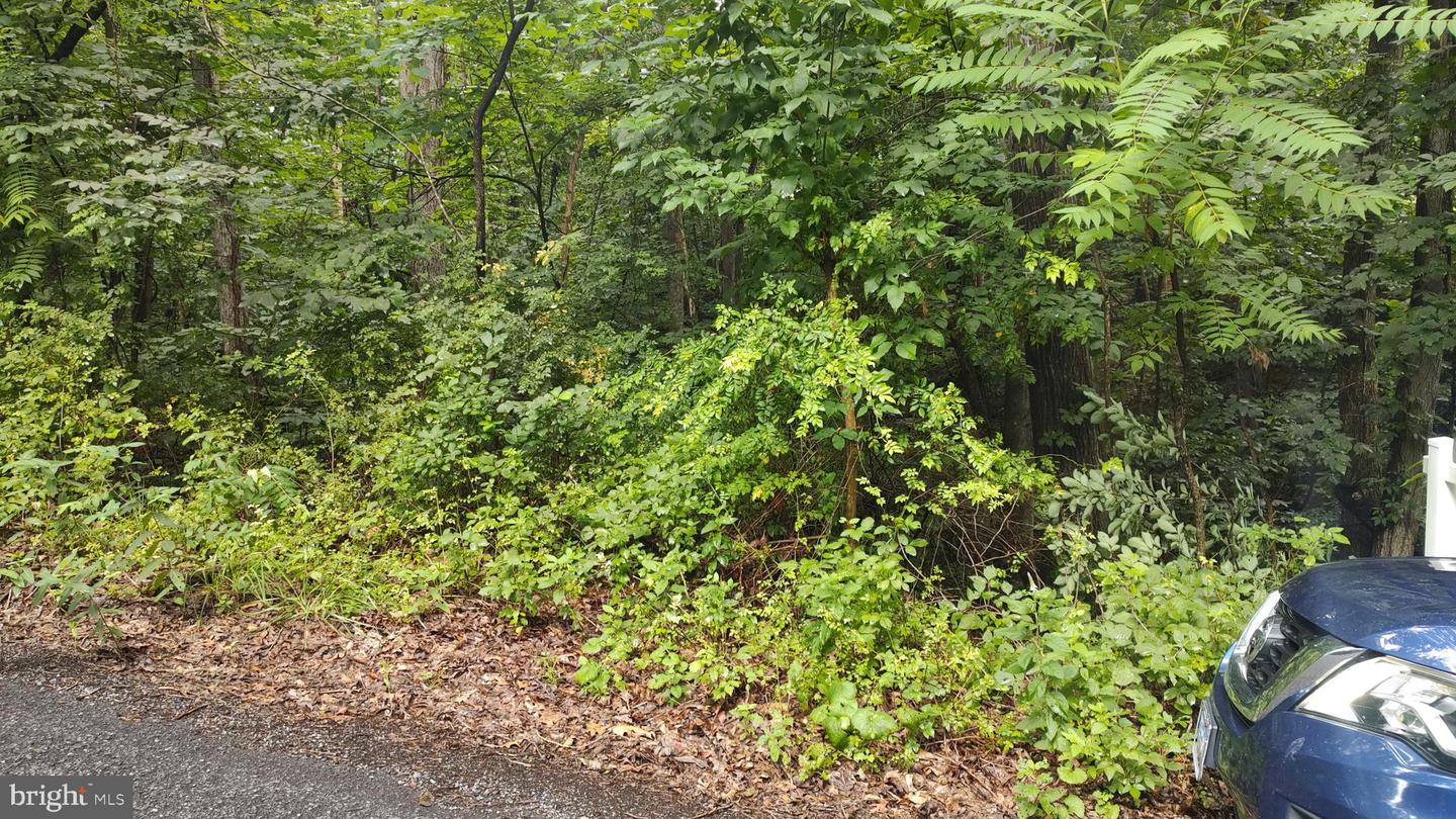 LOT 10 MAGNOLIA DR, FRONT ROYAL, Virginia 22630, ,Land,For sale,LOT 10 MAGNOLIA DR,VAWR2011688 MLS # VAWR2011688