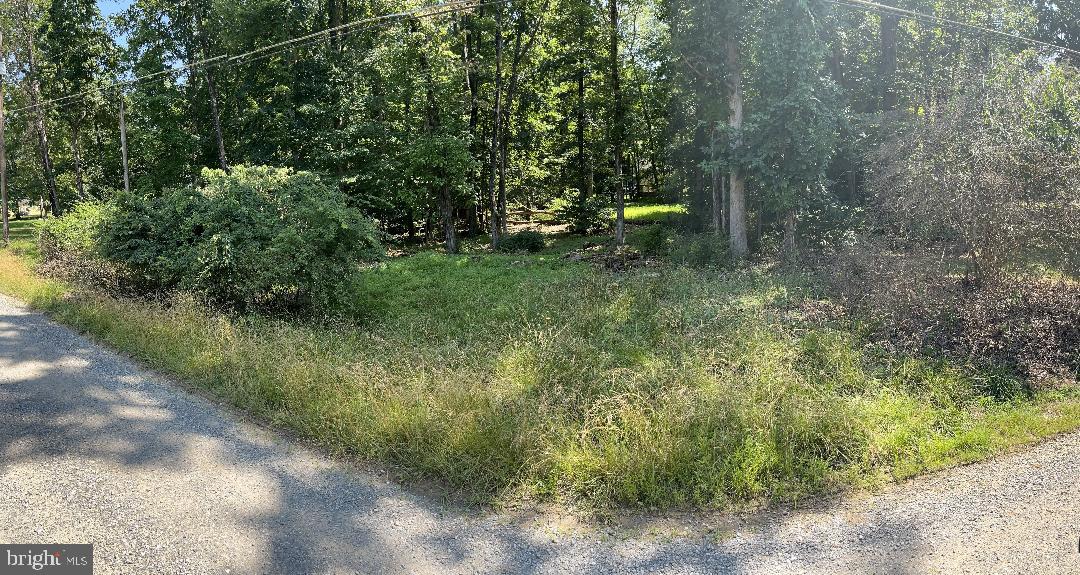 LOT 6 HACKBERRY LN, BLUEMONT, Virginia 20135, ,Land,For sale,LOT 6 HACKBERRY LN,VACL2003912 MLS # VACL2003912