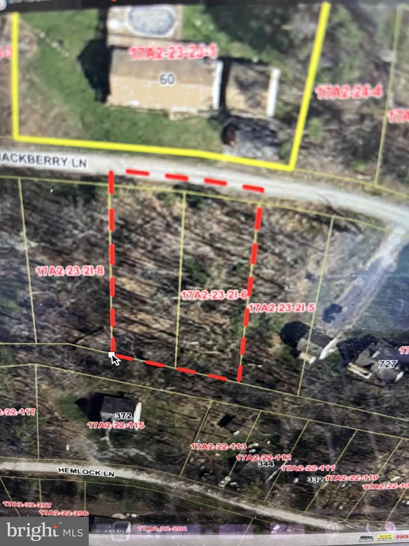 LOT 6 HACKBERRY LN, BLUEMONT, Virginia 20135, ,Land,For sale,LOT 6 HACKBERRY LN,VACL2003912 MLS # VACL2003912