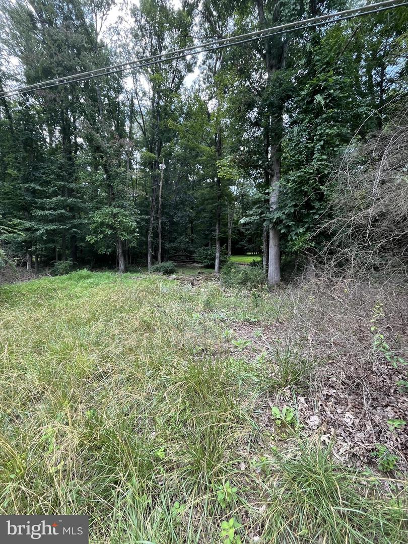 LOT 6 HACKBERRY LN, BLUEMONT, Virginia 20135, ,Land,For sale,LOT 6 HACKBERRY LN,VACL2003912 MLS # VACL2003912