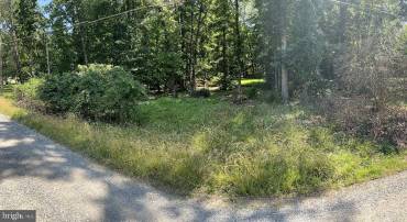 LOT 6 HACKBERRY LN, BLUEMONT, Virginia 20135, ,Land,For sale,LOT 6 HACKBERRY LN,VACL2003912 MLS # VACL2003912