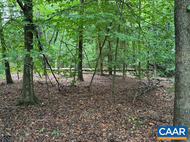 0 MEADOWVIEW LN #23, MINERAL, Virginia 23117, ,Land,For sale,0 MEADOWVIEW LN #23,666729 MLS # 666729
