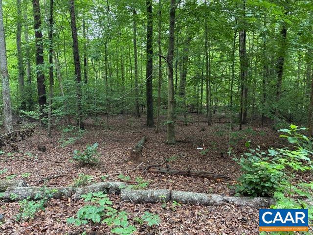 0 MEADOWVIEW LN #23, MINERAL, Virginia 23117, ,Land,For sale,0 MEADOWVIEW LN #23,666729 MLS # 666729