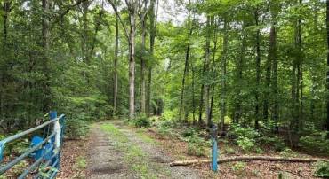 0 MEADOWVIEW LN #23, MINERAL, Virginia 23117, ,Land,For sale,0 MEADOWVIEW LN #23,666729 MLS # 666729
