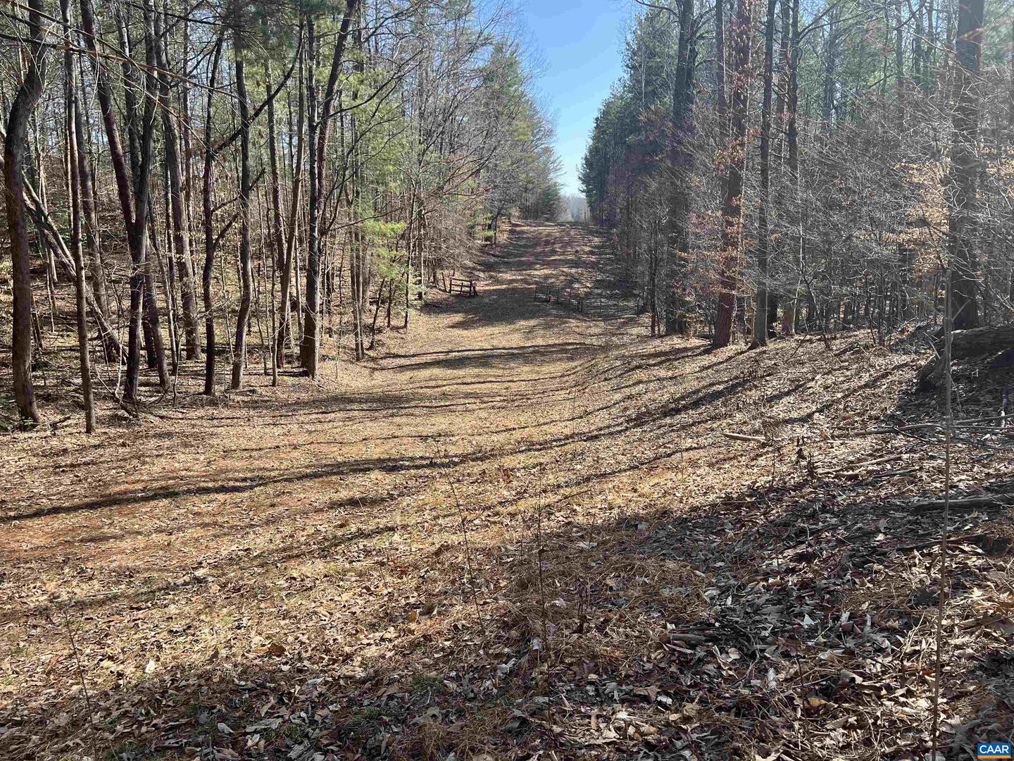 TBD BUDDYS PLACE LN, EARLYSVILLE, Virginia 22936, ,Land,For sale,TBD BUDDYS PLACE LN,666757 MLS # 666757