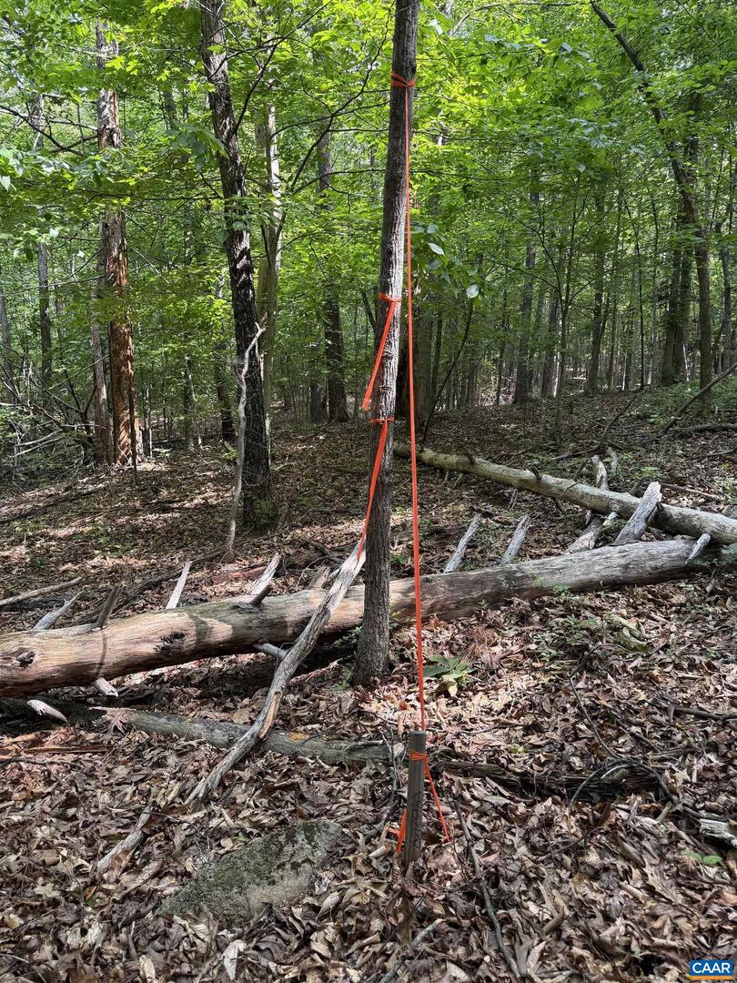 TBD BUDDYS PLACE LN, EARLYSVILLE, Virginia 22936, ,Land,For sale,TBD BUDDYS PLACE LN,666757 MLS # 666757