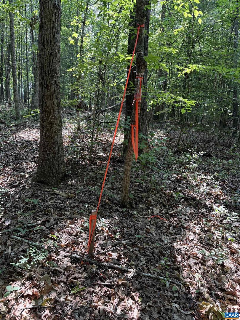 TBD BUDDYS PLACE LN, EARLYSVILLE, Virginia 22936, ,Land,For sale,TBD BUDDYS PLACE LN,666757 MLS # 666757