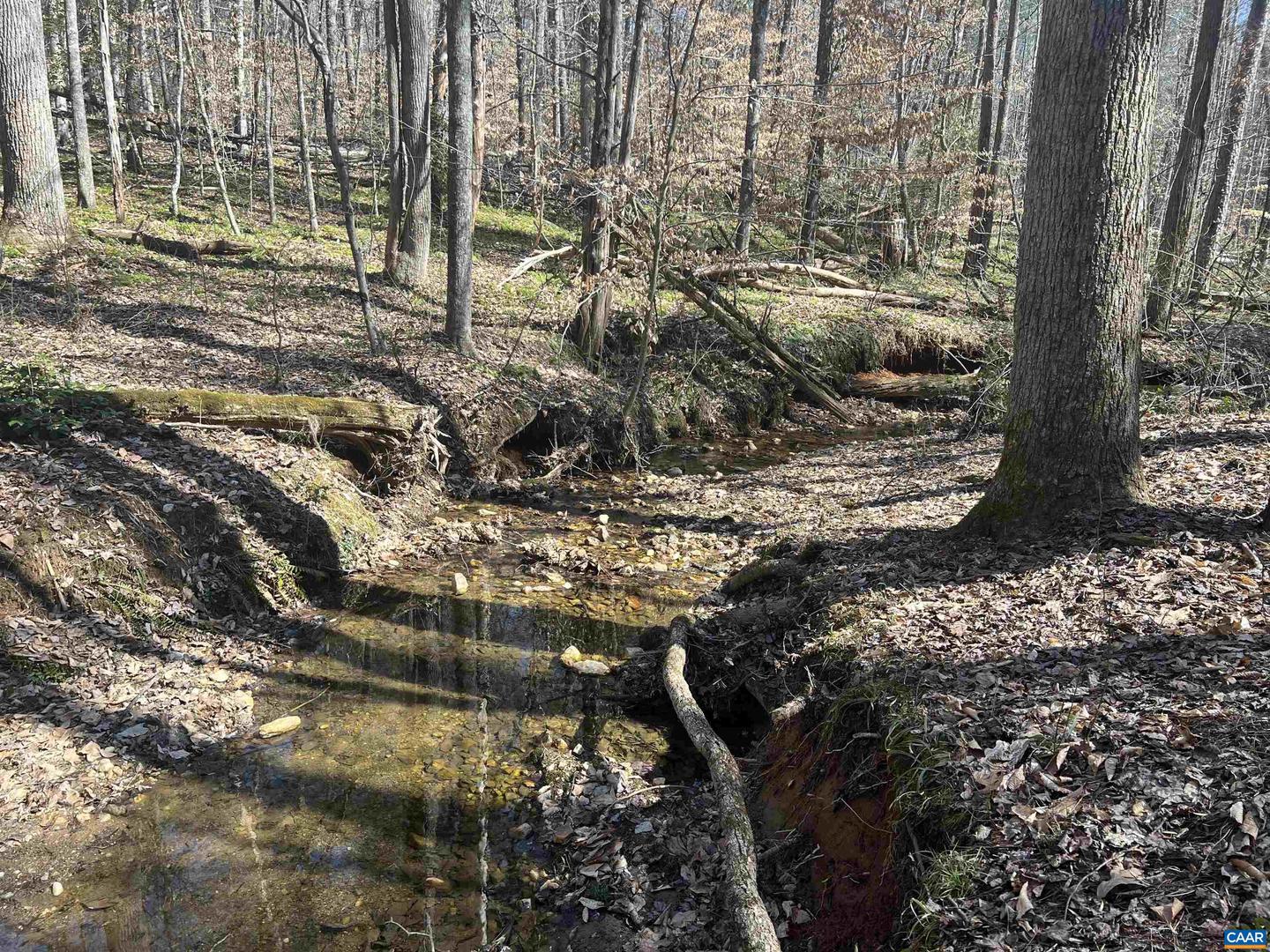 TBD BUDDYS PLACE LN, EARLYSVILLE, Virginia 22936, ,Land,For sale,TBD BUDDYS PLACE LN,666757 MLS # 666757