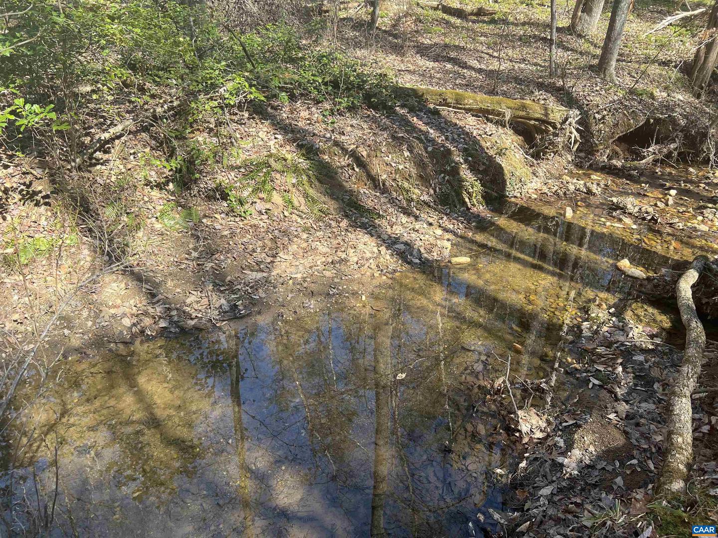 TBD BUDDYS PLACE LN, EARLYSVILLE, Virginia 22936, ,Land,For sale,TBD BUDDYS PLACE LN,666757 MLS # 666757