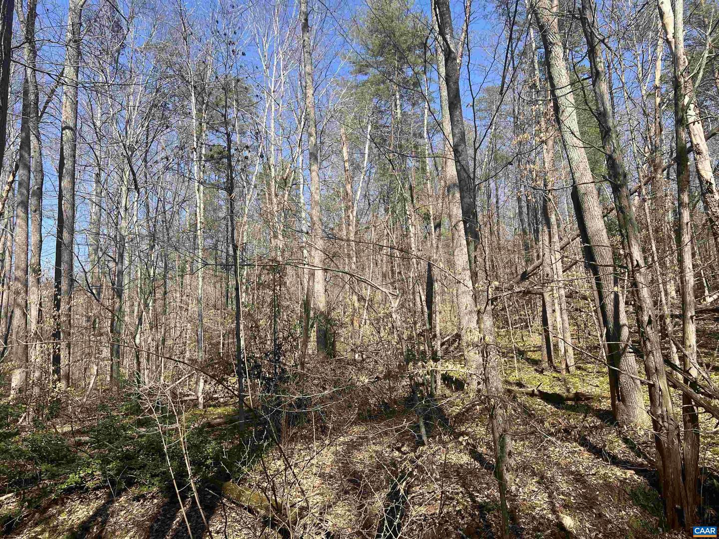 TBD BUDDYS PLACE LN, EARLYSVILLE, Virginia 22936, ,Land,For sale,TBD BUDDYS PLACE LN,666757 MLS # 666757