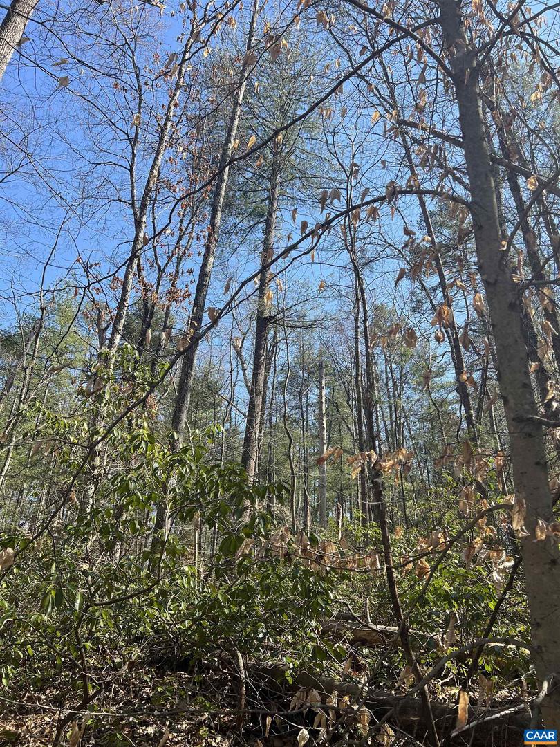 TBD BUDDYS PLACE LN, EARLYSVILLE, Virginia 22936, ,Land,For sale,TBD BUDDYS PLACE LN,666757 MLS # 666757