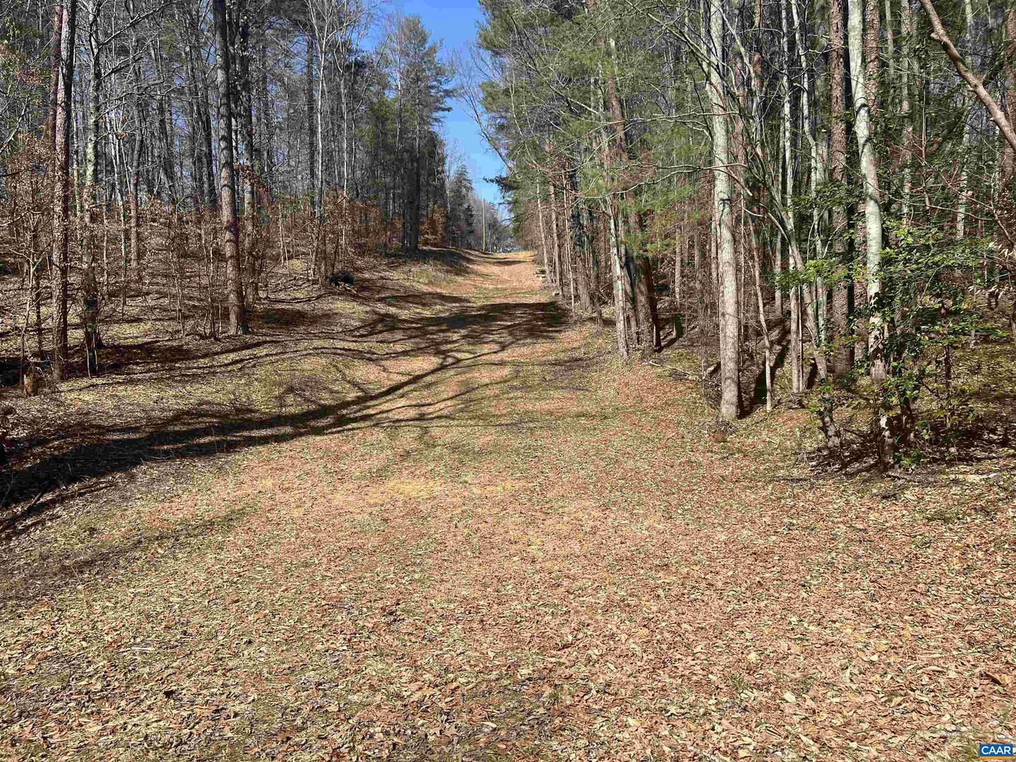 TBD BUDDYS PLACE LN, EARLYSVILLE, Virginia 22936, ,Land,For sale,TBD BUDDYS PLACE LN,666757 MLS # 666757