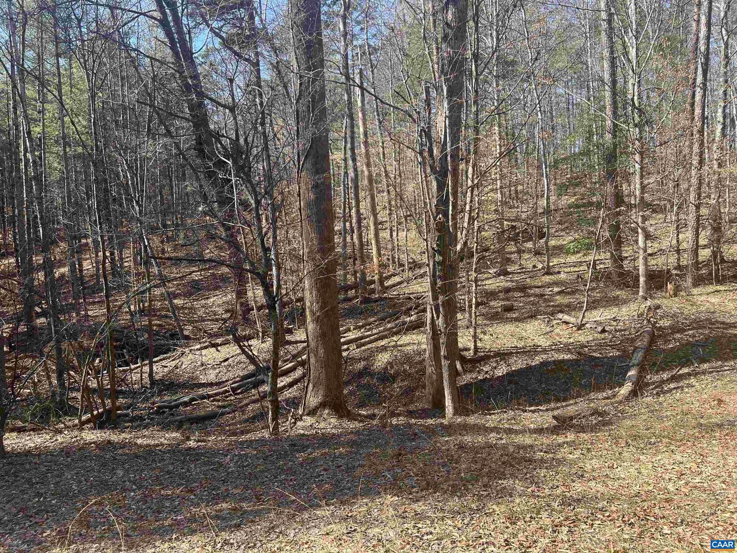 TBD BUDDYS PLACE LN, EARLYSVILLE, Virginia 22936, ,Land,For sale,TBD BUDDYS PLACE LN,666757 MLS # 666757