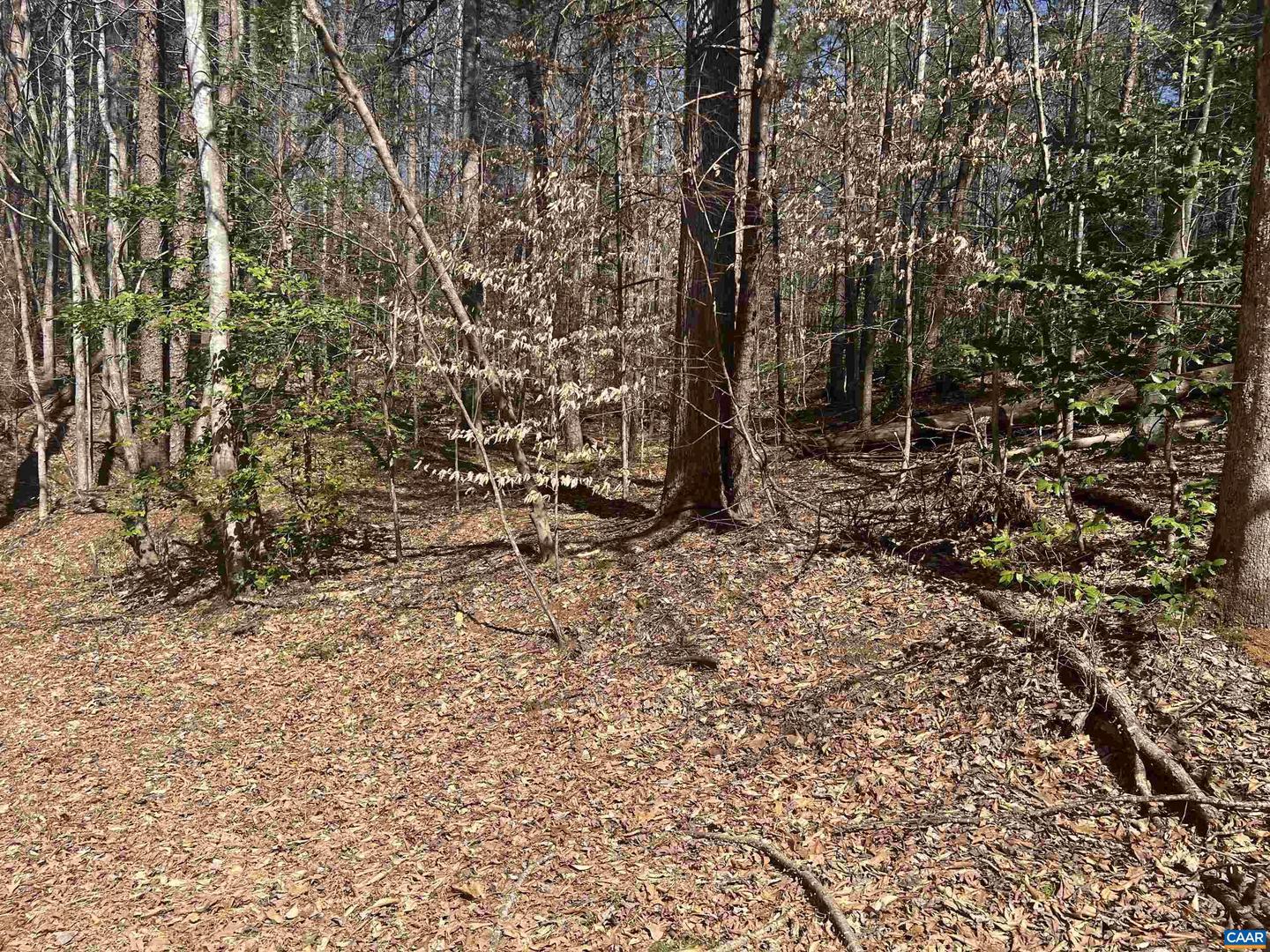TBD BUDDYS PLACE LN, EARLYSVILLE, Virginia 22936, ,Land,For sale,TBD BUDDYS PLACE LN,666757 MLS # 666757