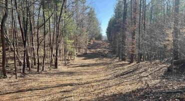 TBD BUDDYS PLACE LN, EARLYSVILLE, Virginia 22936, ,Land,For sale,TBD BUDDYS PLACE LN,666757 MLS # 666757