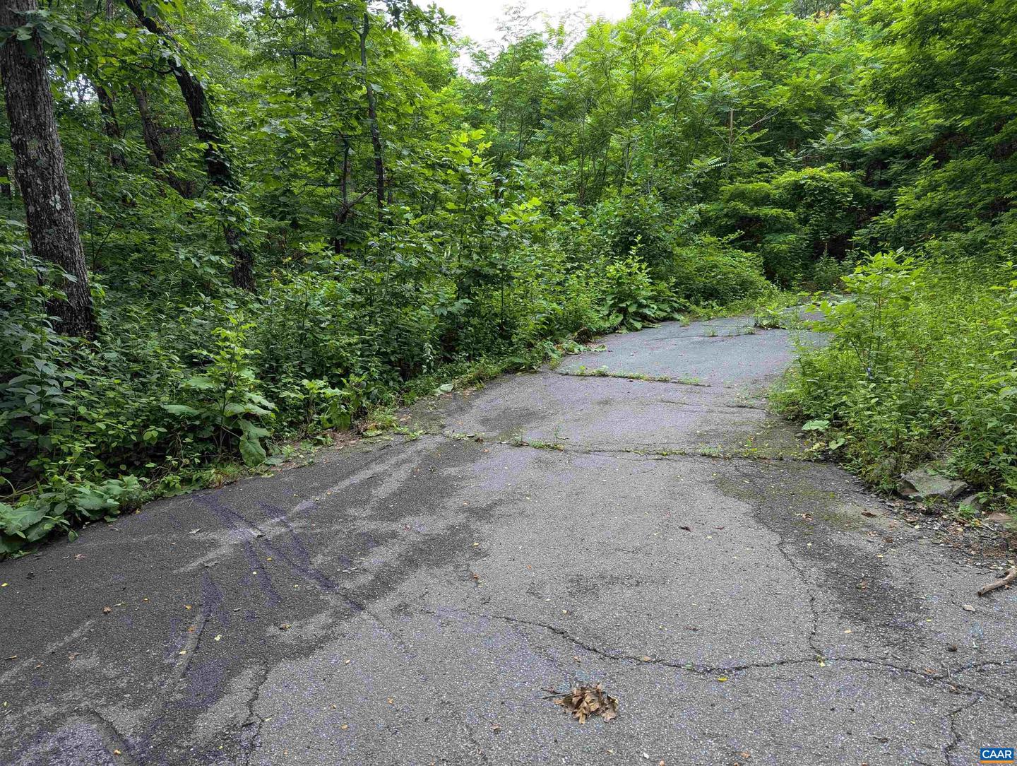 224 CEDAR DR #HICKORY RIDGE LOT 2, ROSELAND, Virginia 22958, ,Land,For sale,224 CEDAR DR #HICKORY RIDGE LOT 2,666760 MLS # 666760