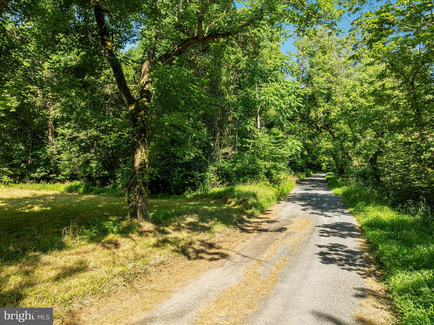 1214 RIDGELEY RD, WOODSTOCK, Virginia 22664, ,Land,For sale,1214 RIDGELEY RD,VASH2011988 MLS # VASH2011988