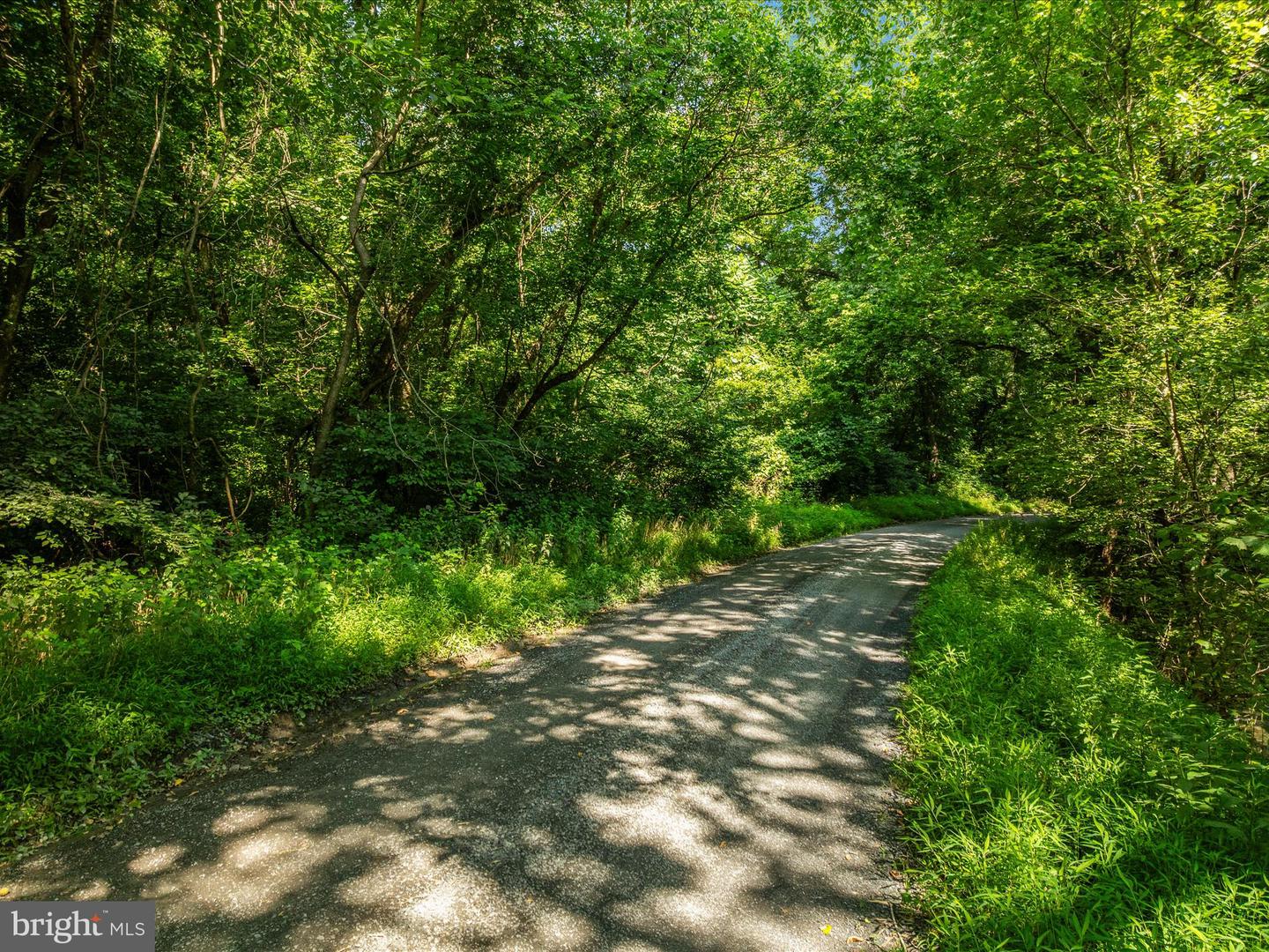 1214 RIDGELEY RD, WOODSTOCK, Virginia 22664, ,Land,For sale,1214 RIDGELEY RD,VASH2011988 MLS # VASH2011988