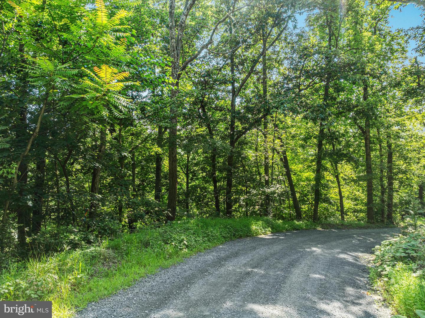 1214 RIDGELEY RD, WOODSTOCK, Virginia 22664, ,Land,For sale,1214 RIDGELEY RD,VASH2011988 MLS # VASH2011988