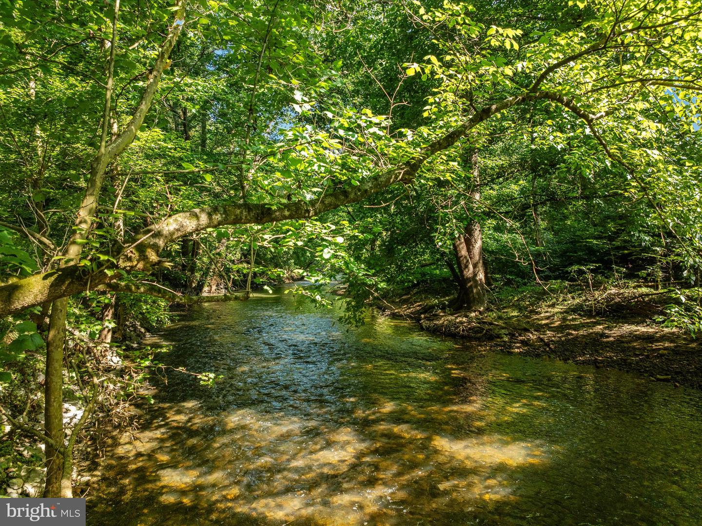 1214 RIDGELEY RD, WOODSTOCK, Virginia 22664, ,Land,For sale,1214 RIDGELEY RD,VASH2011988 MLS # VASH2011988