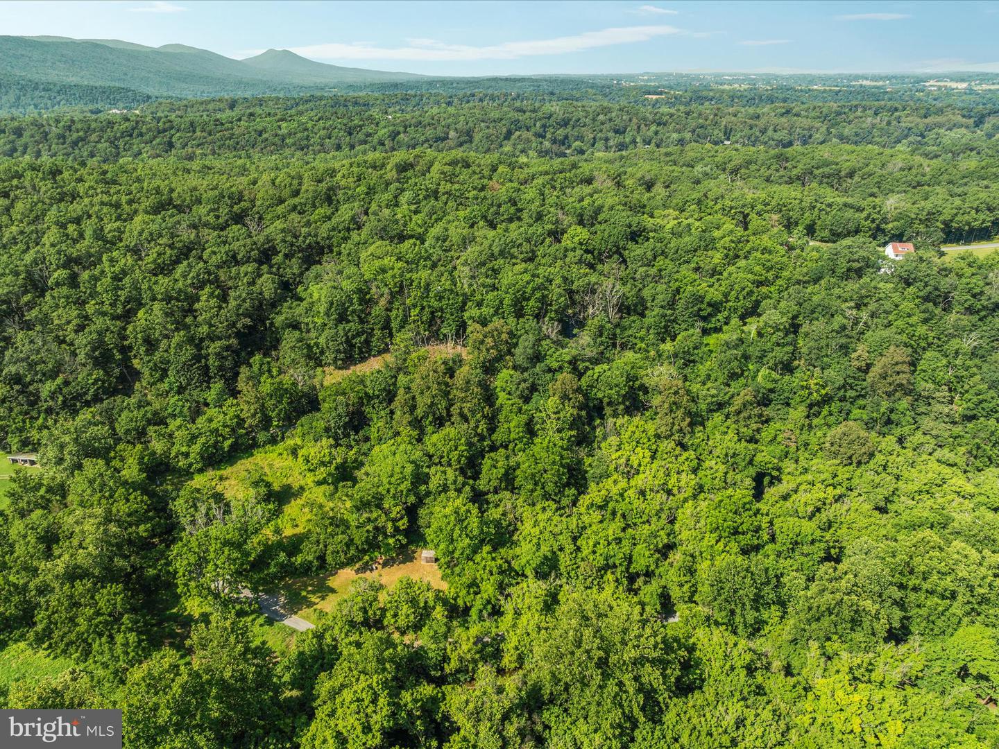 1214 RIDGELEY RD, WOODSTOCK, Virginia 22664, ,Land,For sale,1214 RIDGELEY RD,VASH2011988 MLS # VASH2011988