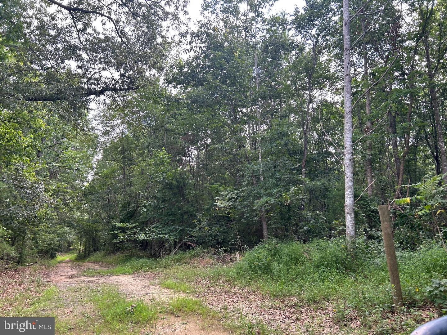 BICKERS LN, ORANGE, Virginia 22960, ,Land,For sale,BICKERS LN,VAOR2010202 MLS # VAOR2010202