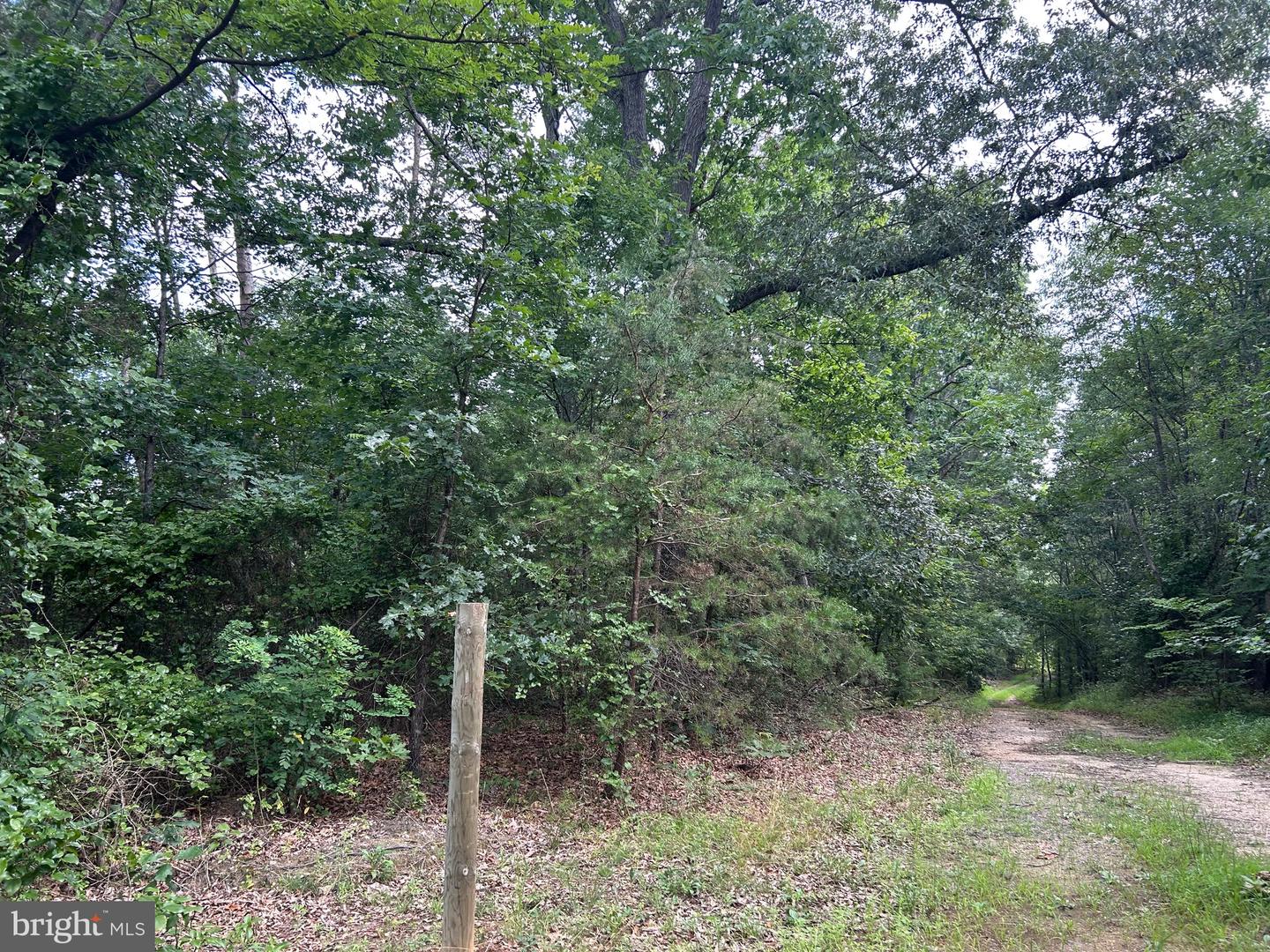 BICKERS LN, ORANGE, Virginia 22960, ,Land,For sale,BICKERS LN,VAOR2010202 MLS # VAOR2010202